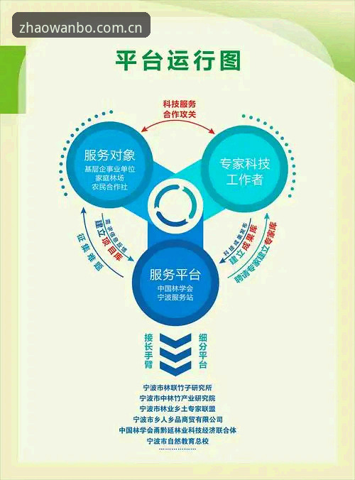 揭秘万博全站综合服务：从入口迷局到一站式体验的进化真相